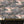 Club Safari wallpaper by Brand McKenzie in grey, a lush safari scene on a living room wall