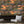 Club Safari wallpaper by Brand McKenzie in orange, a lush safari scene behind a sofa in a living room