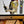Club Safari wallpaper by Brand McKenzie, the artist's artwork in progress showing a lush safari scene