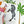 Creature Club wallpaper by Brand McKenzie, the artist painting the original artwork showing animals on a checkerboard stage