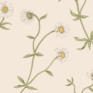 Daisy Chain wallpaper by Studio Le Cocq in cream, full repeat of trailing daisy chains