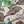 Aviary Isle wallpaper by Deus ex Gardenia in beige, close view of birds among island flowers