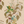 Aviary Isle wallpaper by Deus ex Gardenia in beige, pattern detail of birds among island flowers