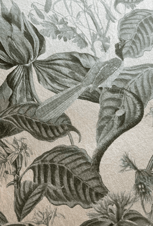 Aviary Isle wallpaper by Deus ex Gardenia in grey, close-up of birds among island flowers