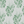 Aviary Isle wallpaper by Deus ex Gardenia in green, flat sample of birds among island flowers