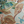 Aviary Isle wallpaper by Deus ex Gardenia in pale blue, detail of birds among island flowers