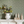Edera wallpaper by Deus ex Gardenia in cream and green, trailing ivy leaves above a sideboard
