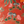 Little Eden velvet by Deus ex Gardenia in orange, in soft folds showing lush leaves and fruit