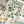 Little Eden velvet by Deus ex Gardenia in cream and green, draped close-up of lush leaves and fruit