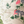 Little Eden velvet by Deus ex Gardenia in cream and green, in soft folds showing lush leaves and fruit