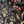 Little Eden velvet by Deus ex Gardenia in black, draped close-up of lush leaves and fruit (alternate view)
