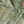 Little Eden velvet by Deus ex Gardenia in sage green, draped, showing lush leaves and fruit
