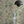 Little Eden wallpaper by Deus ex Gardenia in cream and green, lush leaves and fruit above a sideboard