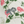 Little Eden wallpaper by Deus ex Gardenia in cream and green, detail of lush leaves and fruit