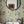 Little Eden wallpaper by Deus ex Gardenia in cream and green, lush leaves and fruit in a bathroom