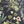 Little Eden wallpaper by Deus ex Gardenia in black, flat sample of lush leaves and fruit