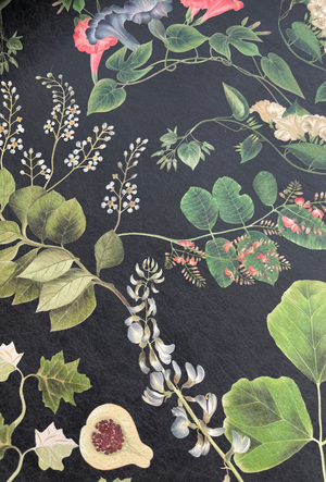 Little Eden wallpaper by Deus ex Gardenia in black, close-up of lush leaves and fruit