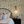 Little Eden wallpaper by Deus ex Gardenia in cream and green, lush leaves and fruit behind a bed