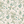 Little Eden wallpaper by Deus ex Gardenia in cream and green, pattern sample of lush leaves and fruit