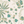 Little Eden wallpaper by Deus ex Gardenia in cream and green, flat sample of lush leaves and fruit