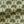 Little Palma linen by Deus ex Gardenia in beige and green, flat sample of rows of palm trees