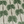 Little Palma velvet by Deus ex Gardenia in beige and green, full repeat of rows of palm trees