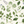Meadowlane wallpaper by Deus ex Gardenia in cream and green, full repeat of trailing meadow flowers