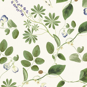 Meadowlane wallpaper by Deus ex Gardenia in cream and green, full repeat of trailing meadow flowers