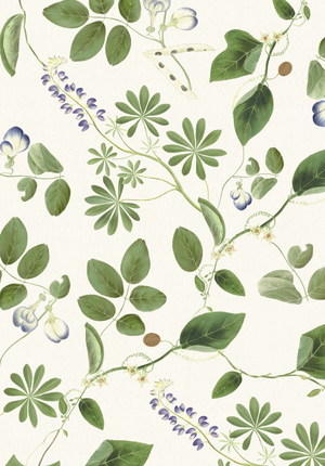 Meadowlane wallpaper by Deus ex Gardenia in cream and green, full repeat of trailing meadow flowers
