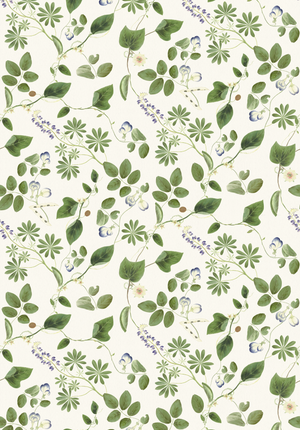 Meadowlane wallpaper by Deus ex Gardenia in cream and green, flat sample of trailing meadow flowers