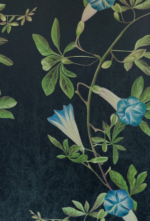 Midsummer wallpaper by Deus ex Gardenia in charcoal and green, full repeat of trailing bellflowers