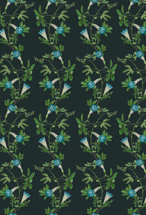 Midsummer wallpaper by Deus ex Gardenia in charcoal and green, flat sample of trailing bellflowers