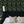 Midsummer wallpaper by Deus ex Gardenia in charcoal and green, trailing bellflowers on a bedroom wall