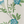 Midsummer wallpaper by Deus ex Gardenia in cream and blue, detail of trailing bellflowers