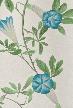 Midsummer wallpaper by Deus ex Gardenia in cream and blue, detail of trailing bellflowers