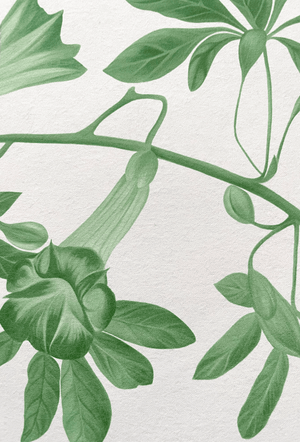 Midsummer wallpaper by Deus ex Gardenia in cream and green, flat sample of trailing bellflowers