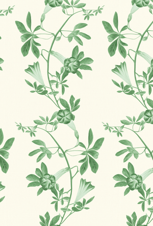 Midsummer wallpaper by Deus ex Gardenia in cream and green, pattern sample of trailing bellflowers