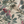 Passiflora linen by Deus ex Gardenia in cream, draped, showing parrots and passion flowers