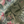 Passiflora linen by Deus ex Gardenia in sage green, draped close-up of parrots and passion flowers