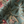 Passiflora linen by Deus ex Gardenia in teal, draped close-up of parrots and passion flowers