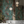 Passiflora wallpaper by Deus ex Gardenia in teal, parrots and passion flowers in a bathroom