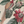 Passiflora velvet by Deus ex Gardenia in cream, draped, showing parrots and passion flowers