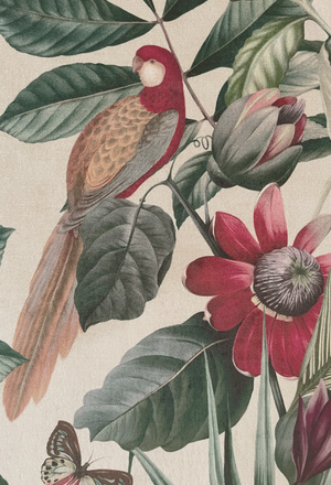 Passiflora velvet by Deus ex Gardenia in cream, draped, showing parrots and passion flowers