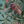 Passiflora velvet by Deus ex Gardenia in teal, draped close-up of parrots and passion flowers