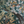Resplendent Woods linen by Deus ex Gardenia in dark green, draped close-up of peacocks and pheasants in trees