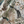 Resplendent Woods linen by Deus ex Gardenia in cream, draped, showing peacocks and pheasants in trees