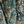 Resplendent Woods velvet by Deus ex Gardenia in dark green, draped, showing peacocks and pheasants in trees