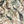 Resplendent Woods velvet by Deus ex Gardenia in cream, draped, showing peacocks and pheasants in trees