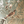 Resplendent Woods velvet by Deus ex Gardenia in sage green, draped close-up of peacocks and pheasants in trees
