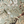 Resplendent Woods velvet by Deus ex Gardenia in sage green, in soft folds showing peacocks and pheasants in trees